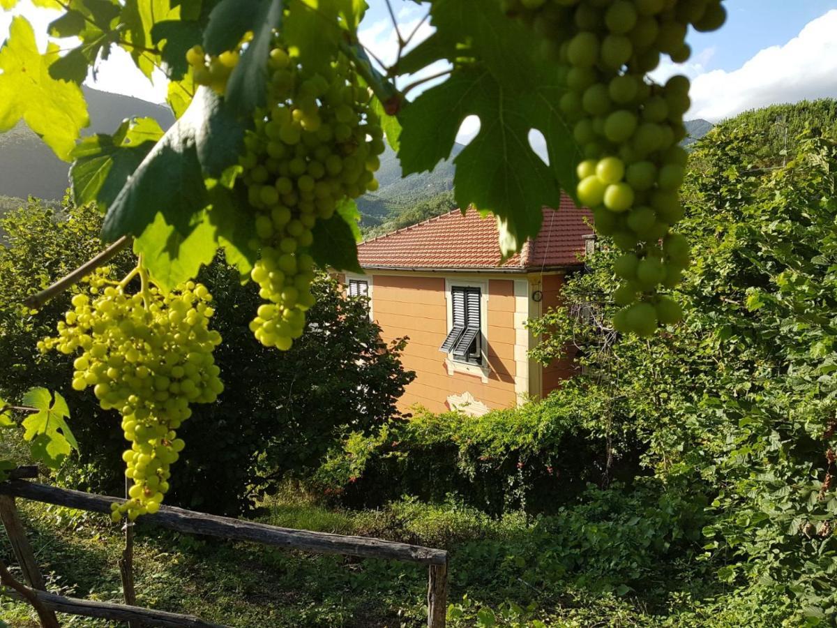 B&B Casa Del Priore Sestri Levante Kültér fotó